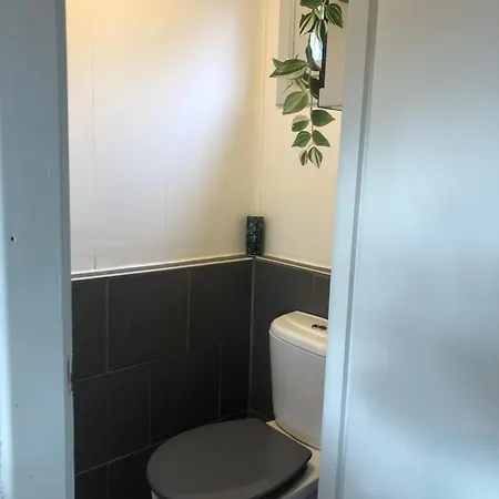 The Zen Nest